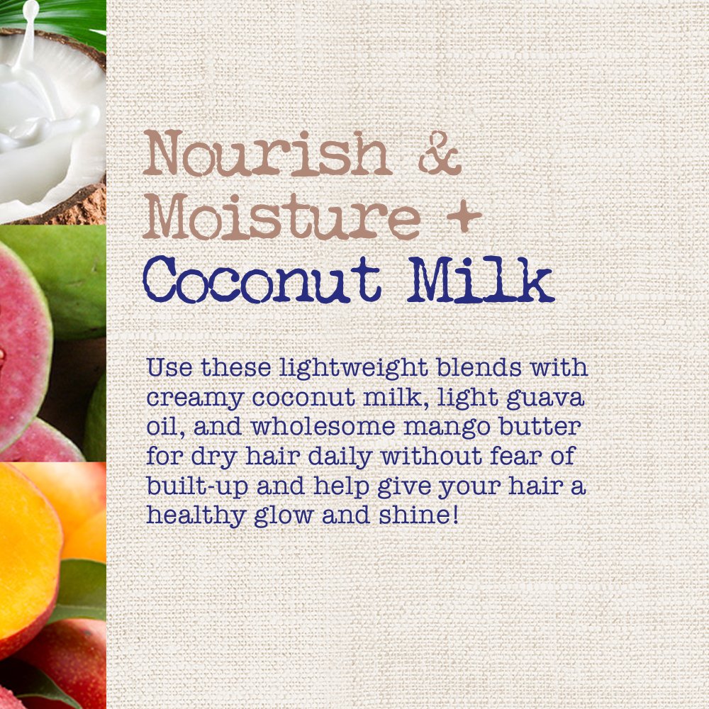 OGX Nourish & Moisture + Coconut Milk Weightless Oil Mist, Leave-In Spray Treatment to Help Defrizz, Hydrate & Replenish Curly Hair, Vegan, Silicone