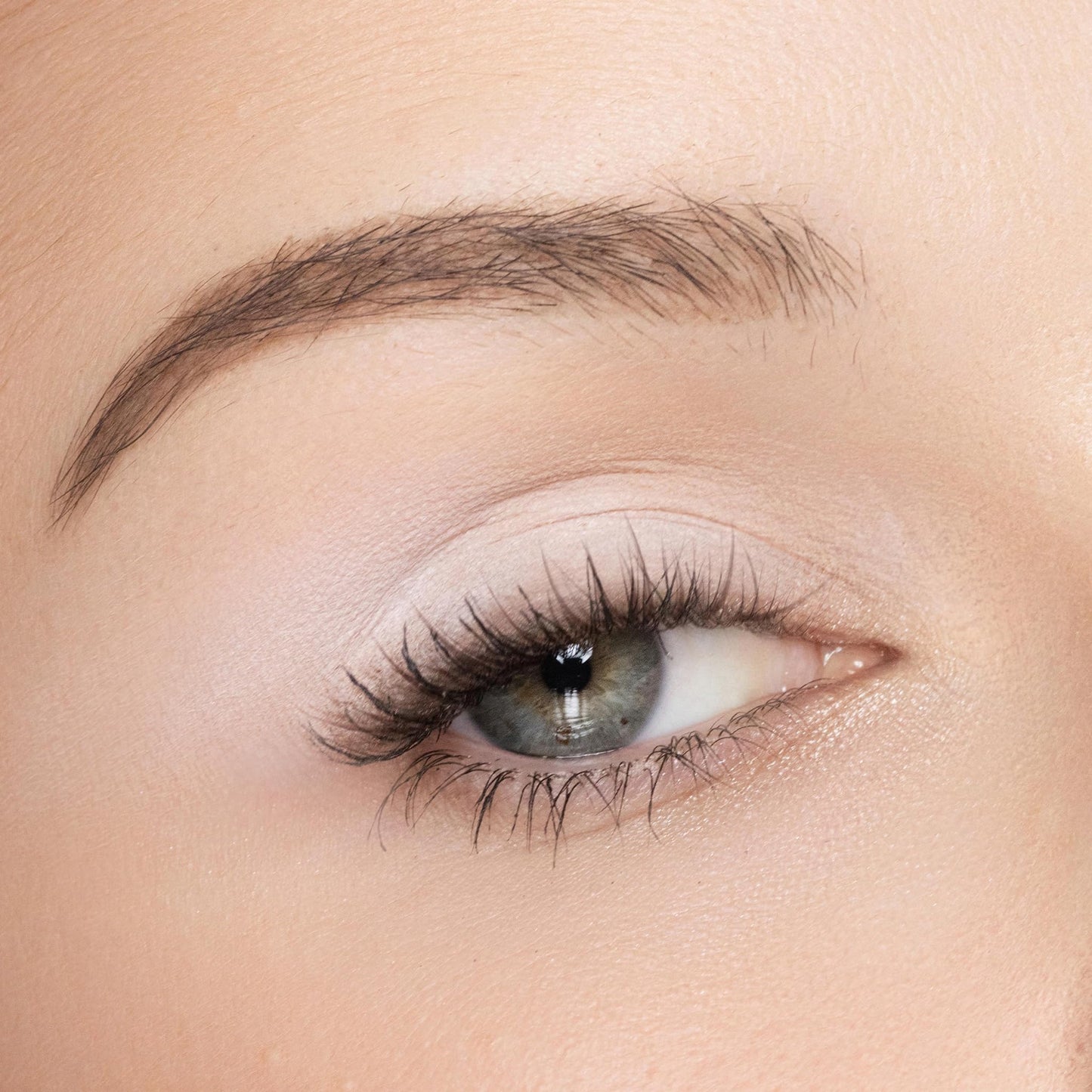 Trish McEvoy Classic Eye Shadow Refill In The Shade Snow, 0.04 oz / 1.4 g