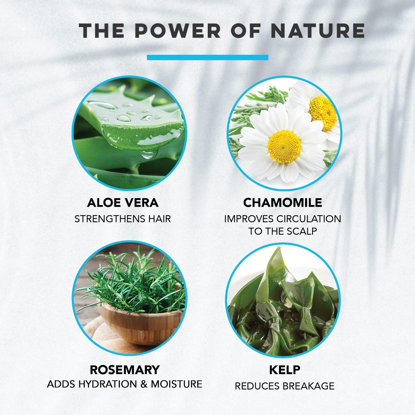 Brocato Splassh Daily Hair Conditioner: Moisturizing Conditioner with Fortifying Keratin and Natural Aloe Vera, Chamomile and Rosemary - No Sulfate or