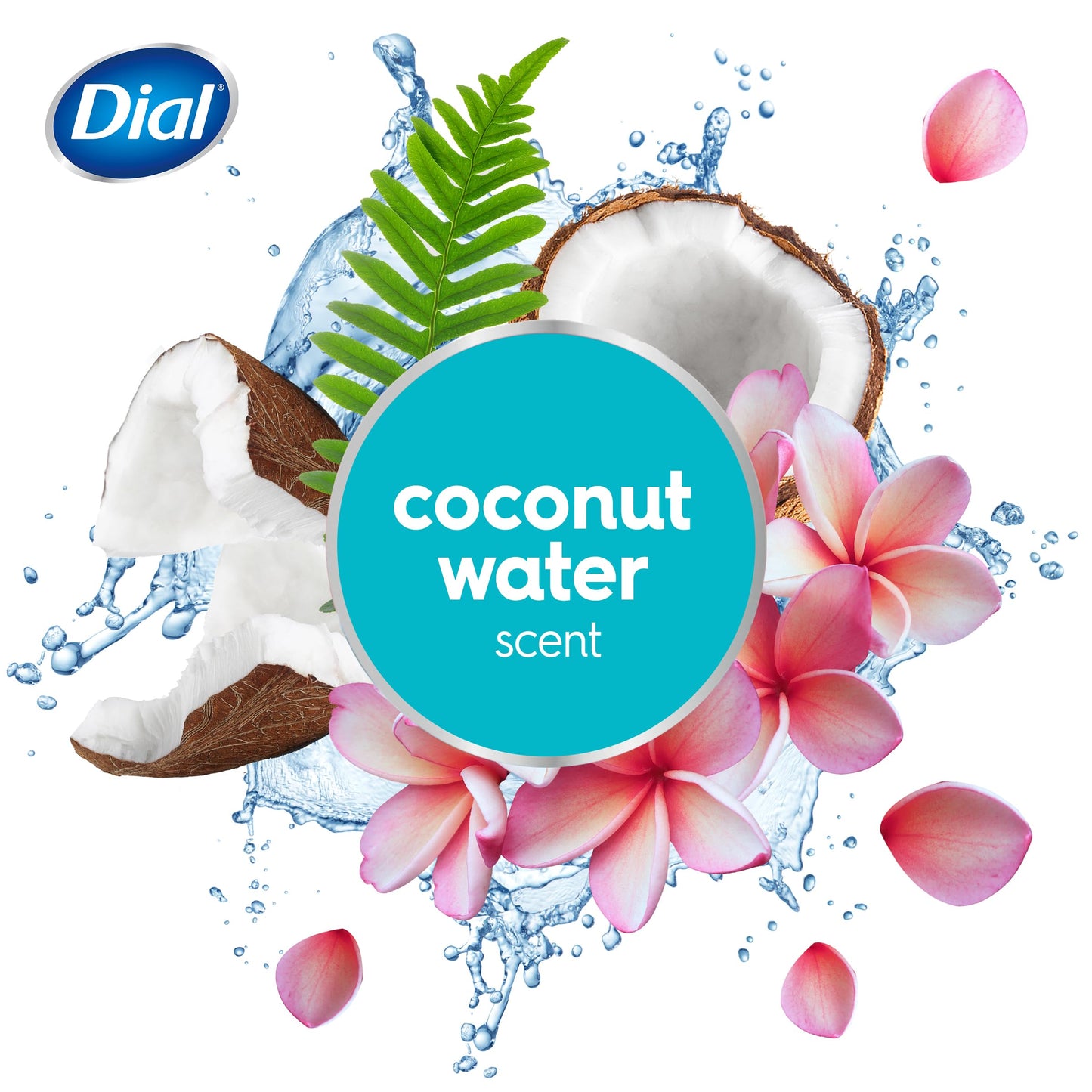 Dial Body Wash Coconut Water and Bamboo Leaf Extract, 16 Ounce (Pack of 3)