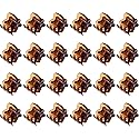 HOTOP 24 Pcs Mini Hair Claws Clips, Small Non Slip Plastic Jaw Clips for Girls and Women (Coffee)