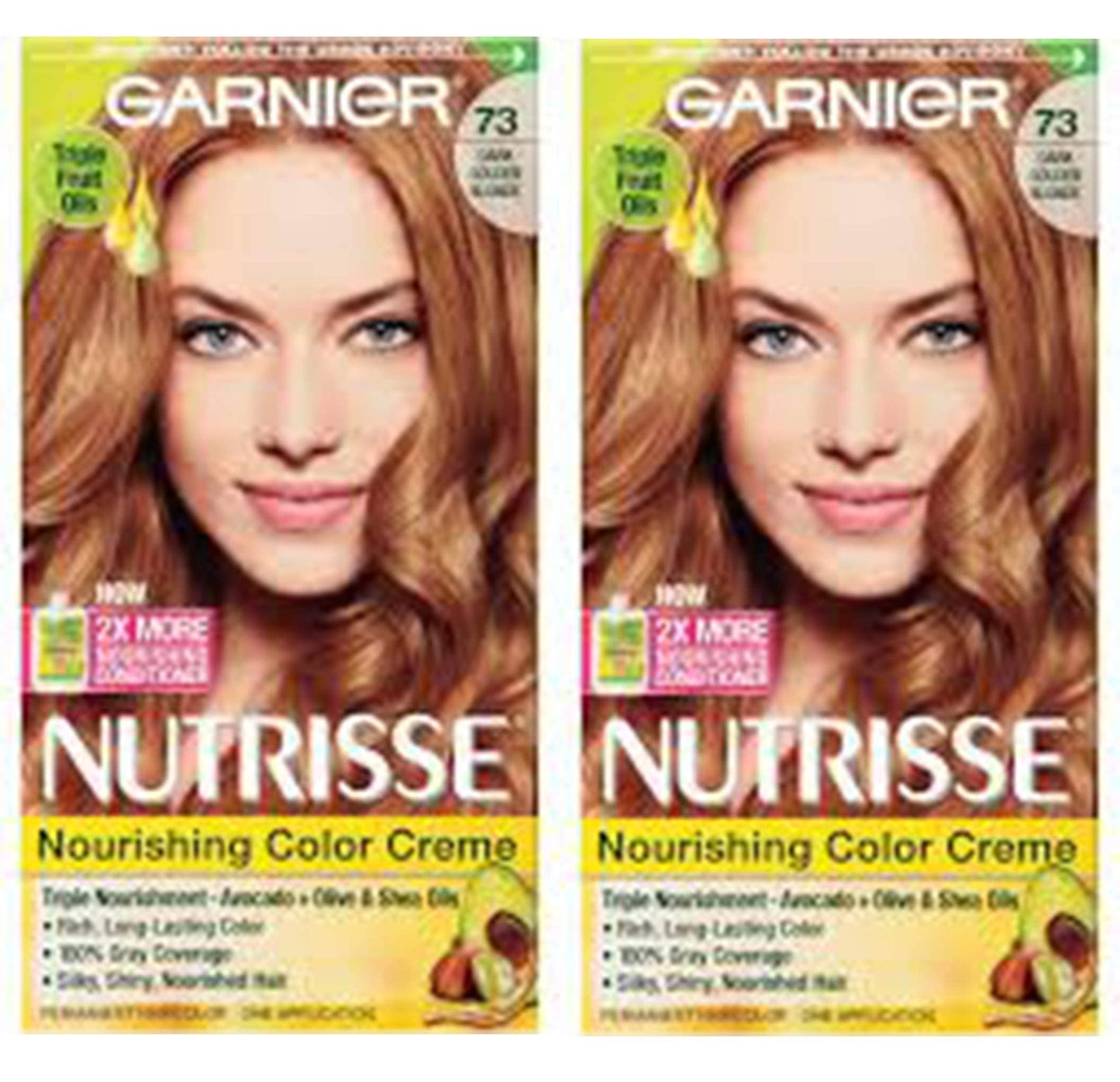 Garnier Nutrisse Haircolor, 73 Dark Golden Blonde 1 ea (Pack of 2)