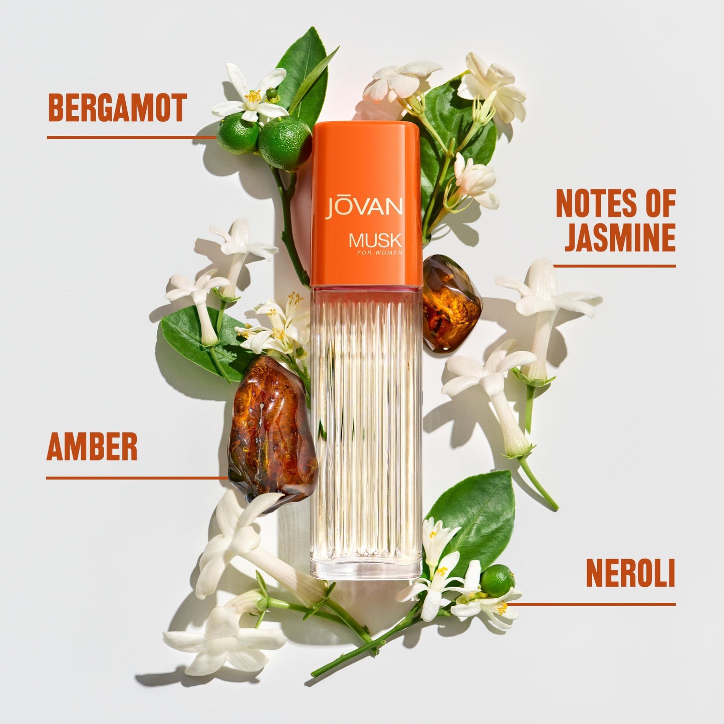 Jovan Musk for Women Eau de Cologne Spray 2 fl oz (Pack of 1), Notes of Jasmine, Amber, and Neroli, Women's Fragrance, Long Lasting, Everyday