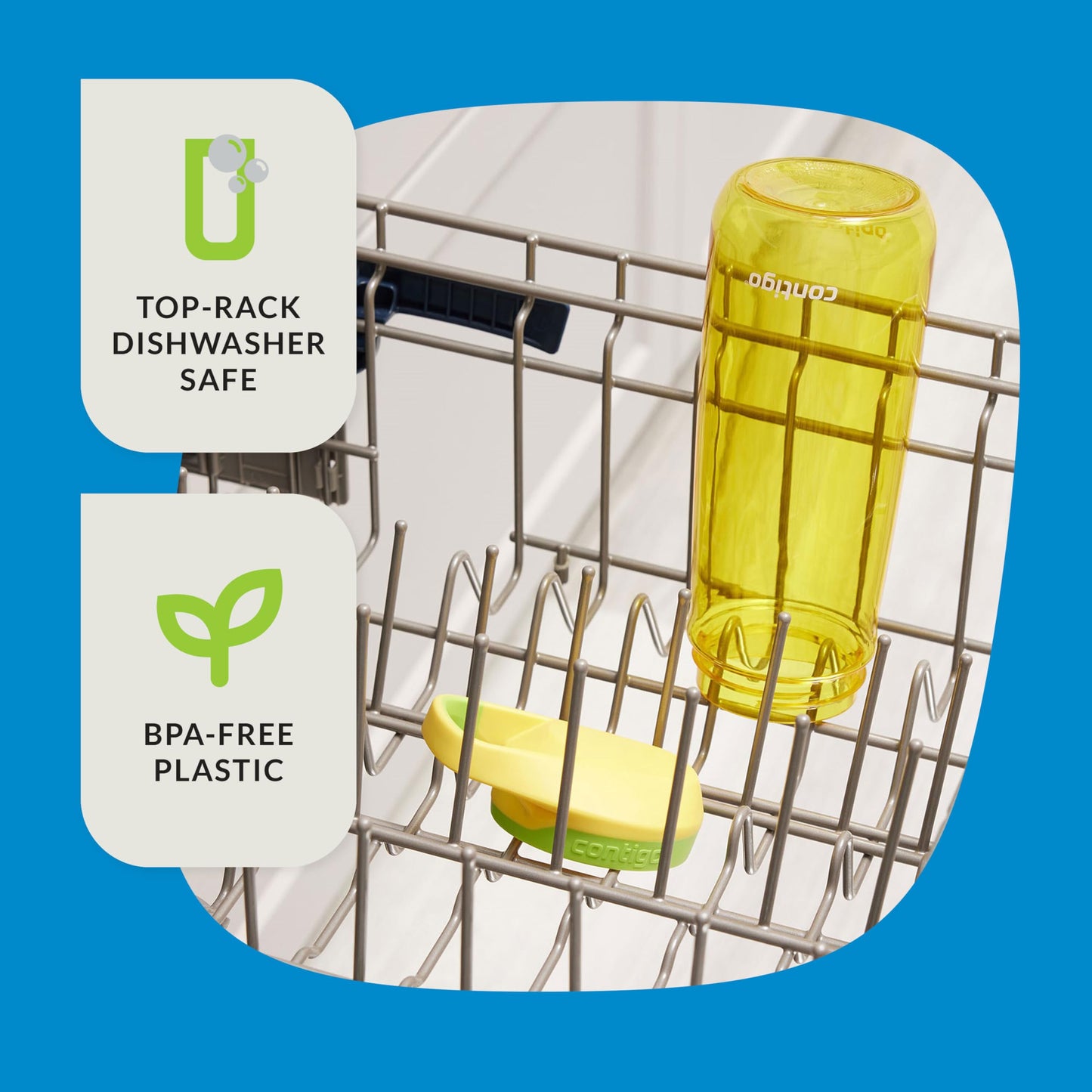 Contigo Micah Water Bottle, 20 oz, Pineapple/Cool Lime