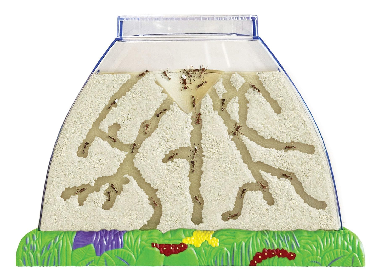 Insect Lore Ant Hill Habitat Kit – STEM Science Kit with Live Harvester Ants Voucher, Educational Kids Toy to Watch Ants Tunnel & Explore