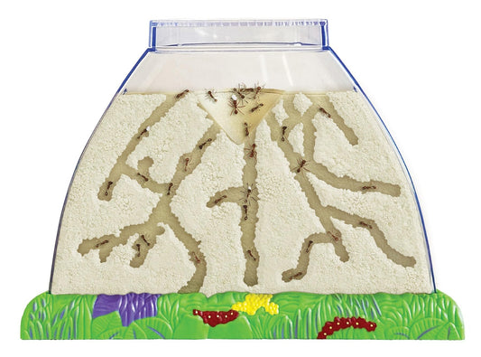 Insect Lore Ant Hill Habitat Kit – STEM Science Kit with Live Harvester Ants Voucher, Educational Kids Toy to Watch Ants Tunnel & Explore