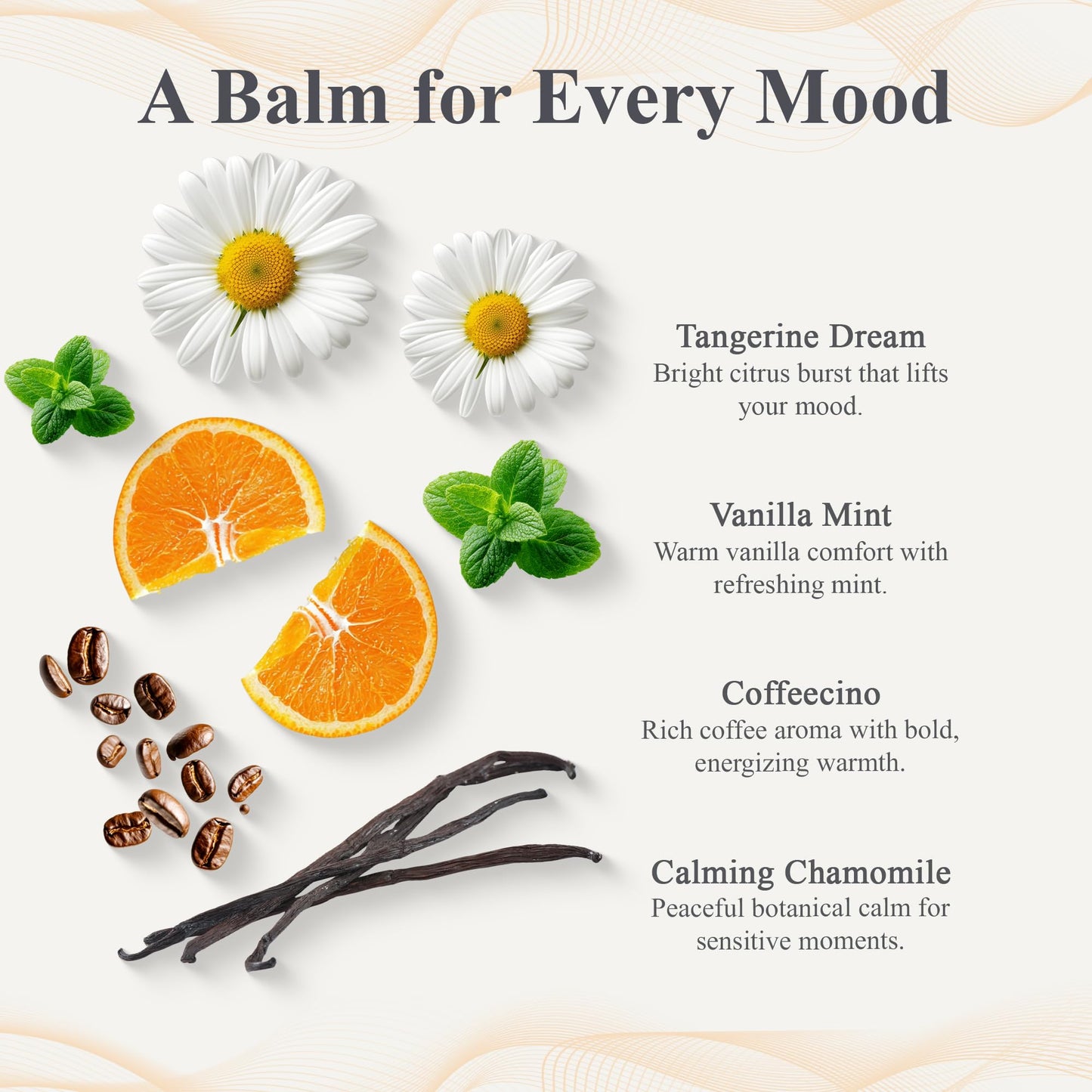 Erbaviva Vanilla Mint Lip Balm 4 Pack - USDA Organic Lip Balm with Elderflower, Calendula & Shea Butter - Long-Lasting Moisturizing Lip Care Beauty and Personal Care erbaviva