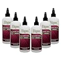 Bigen Semi-Permanent Haircolor #Bg3 Burgundy 3 Ounce (88ml) (6 Pack)