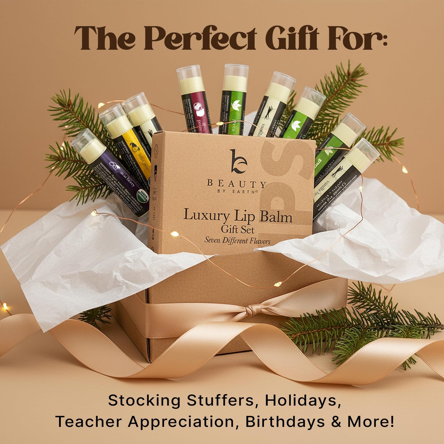 USDA Organic Lip Balm - USA Made with Natural Ingredients - 12-Pack (6 flavors) - Beeswax, Coconut Oil, Vitamin E - Moisturizing Chapstick for Dry