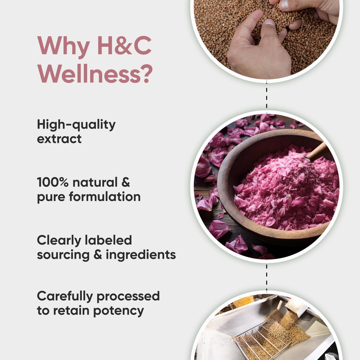 H&C 100% Pure Rose Petals Powder (Rosa Centifolia) for Facial Mask Formulation - 1/2 LB/ 227 gms / 8 Oz