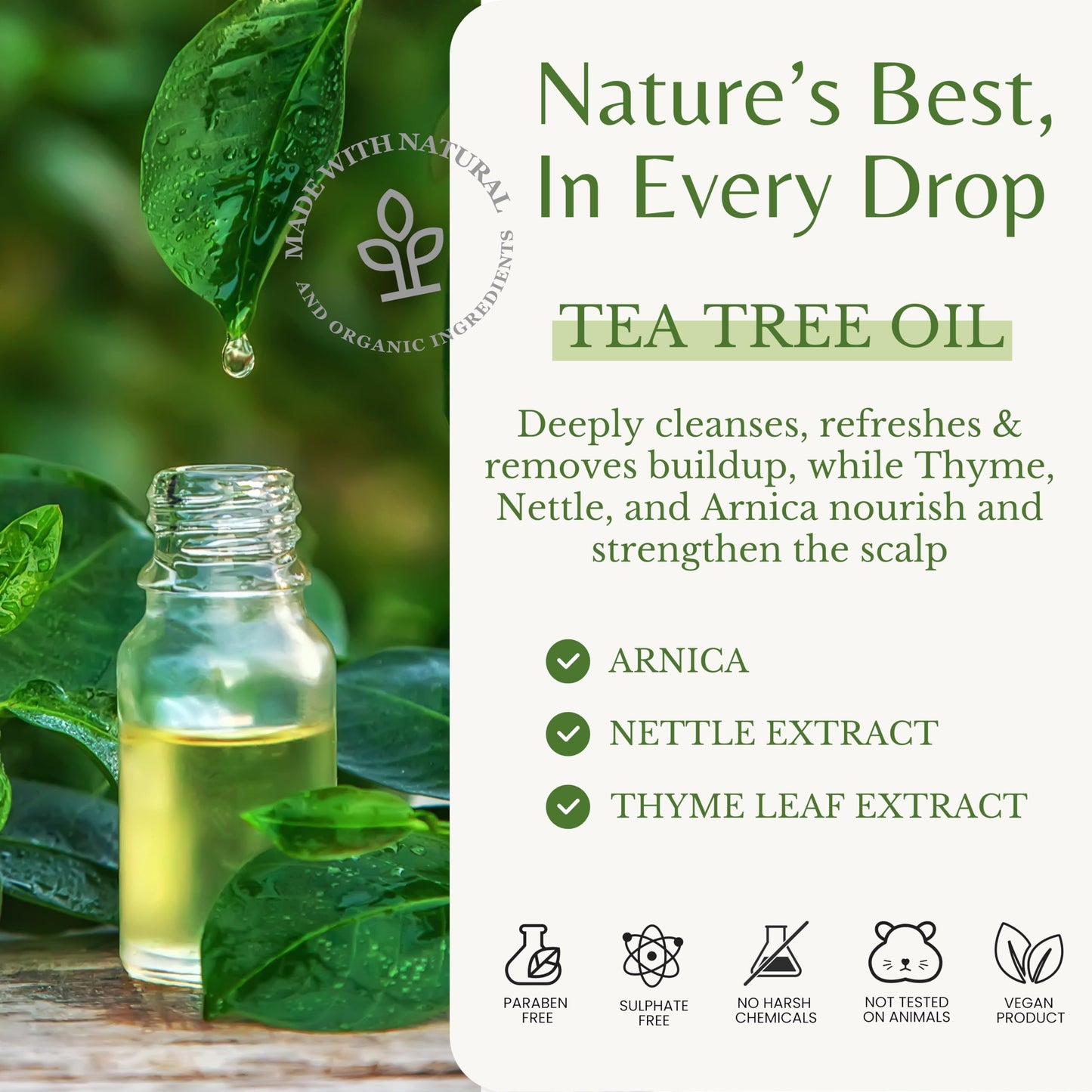 EDENIKA BOTANICALS Tea Tree Oil Shampoo and Conditioner Set, Deep Cleansing for Buildup & Oily Scalp, Soothes Itchy Scalp & Refreshes Hair, Sulfate