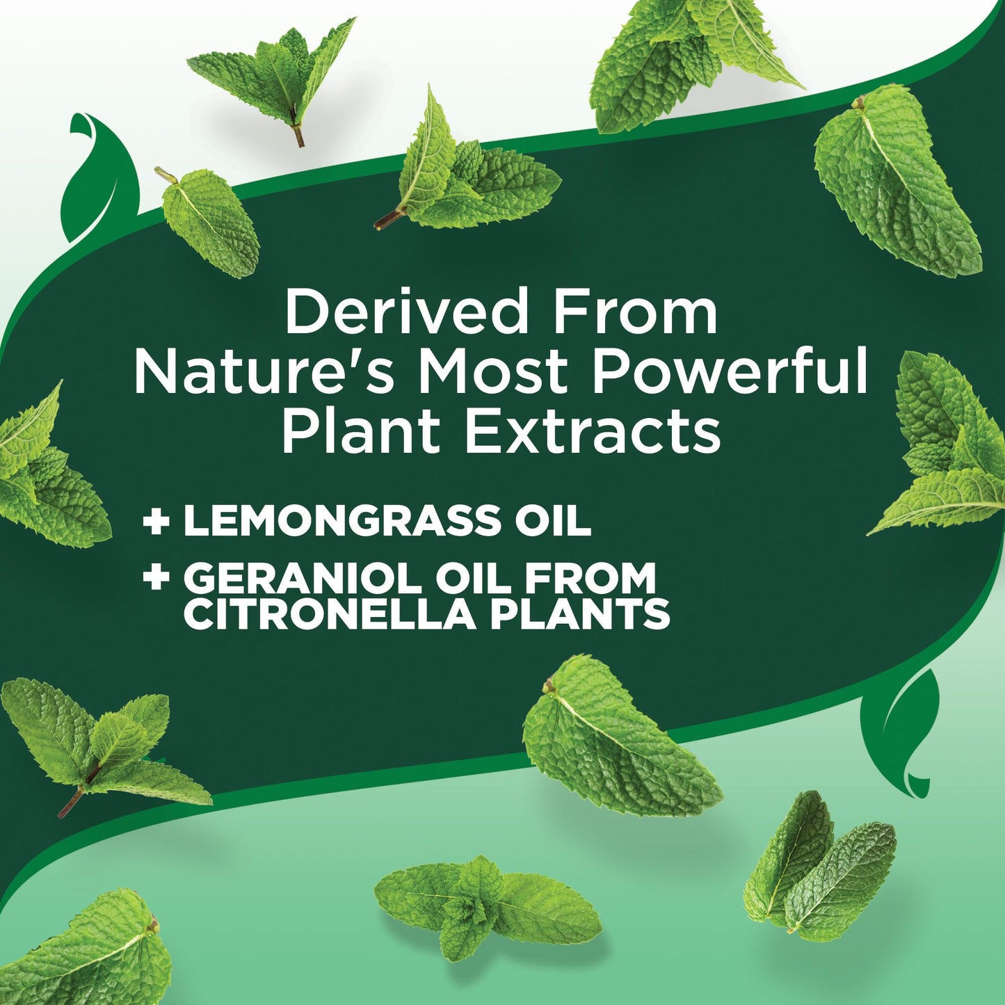 Vet's Best Natural Mosquito Repellent Spray for Dogs and Cats – Plant-Based Protection with Certified Essential Oils – DEET-Free Outdoor Pest Repellent for Pets – Natural and Safe – 8 oz Bottle