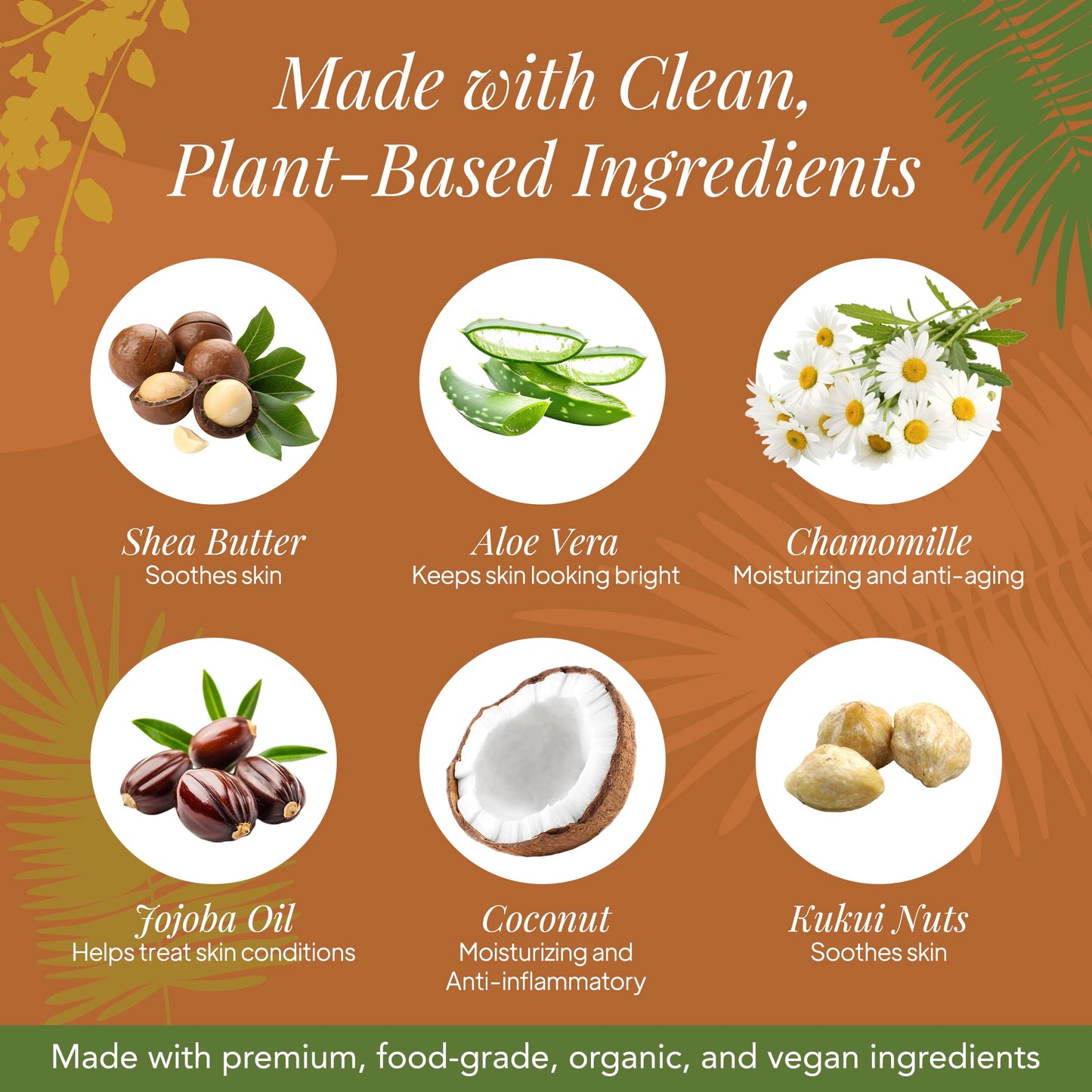 Saavy Naturals Deeply Hydrating Body Cream for Dry Skin - Nourishing Shea Butter, Plant-Based & Sustainably Sourced - Tropical Coconut - 8.5 fl oz, 2