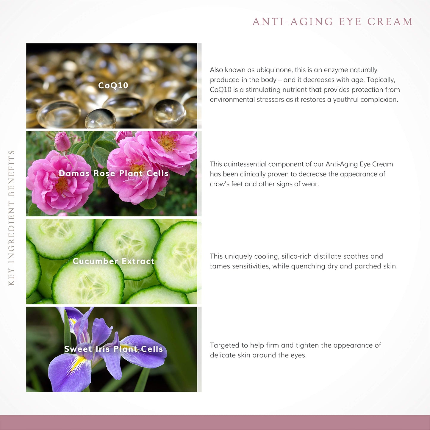 Annmarie Skin Care Anti-Aging Eye Cream - With Antioxidant-Rich Green Tea, Eyebright & Cucumber Extract, Soothing for Puffiness, Fine Lines