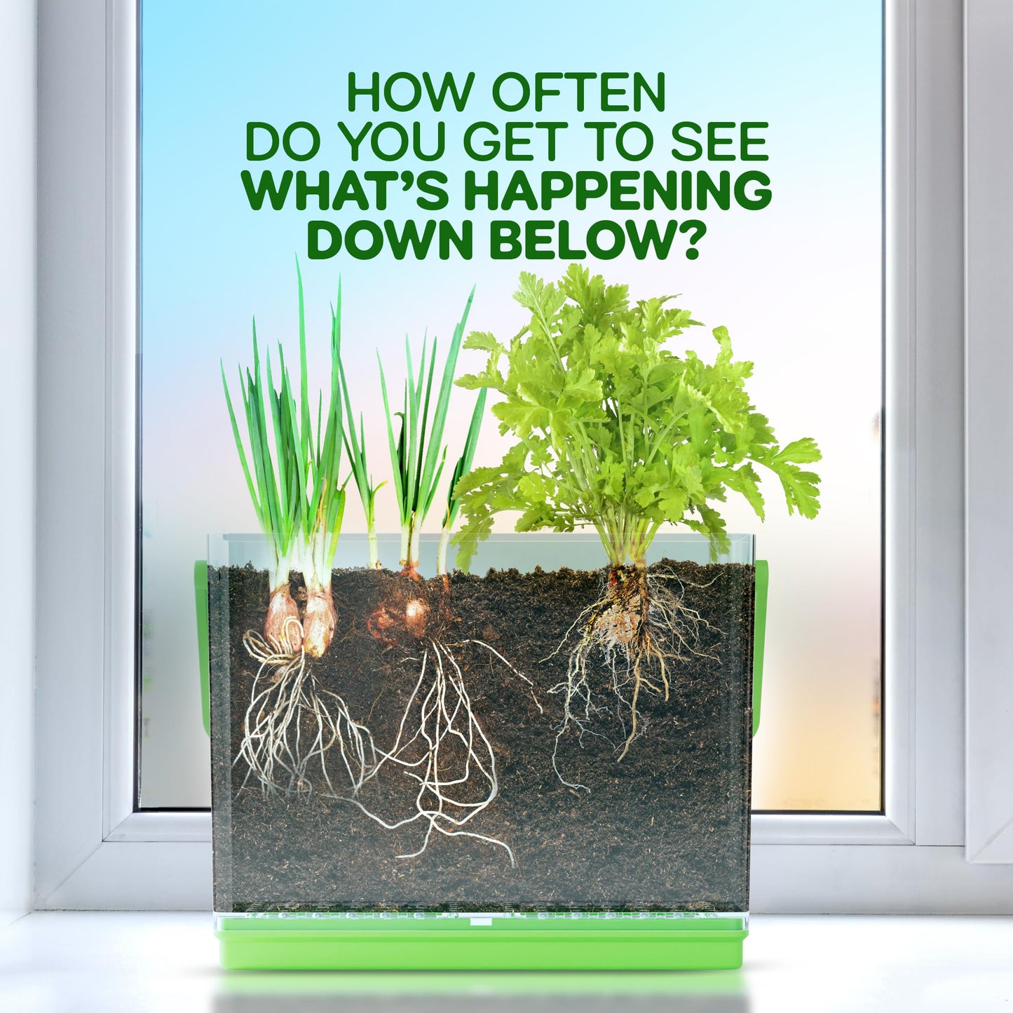 Dan&Darci Root Viewer Kit for Kids – Grow Your Own Plant STEM Science & Craft Set, Fun Gardening Gift for Boys & Girls Ages 4–8