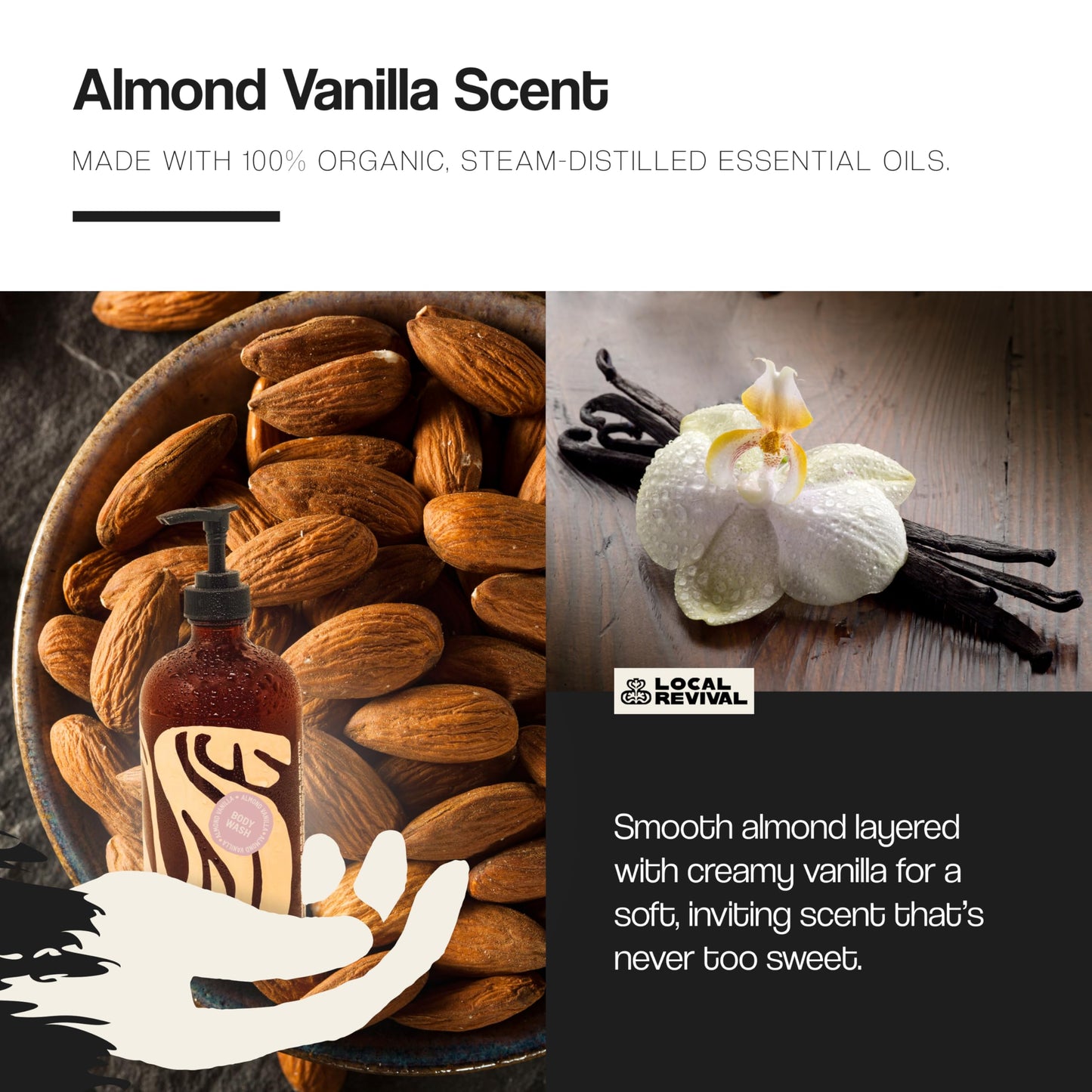 Local Revival Tallow and Honey Body Wash - Almond Vanilla - Beef Tallow with Honey, Olive Oil, Shea Butter and Jojoba Oil - Moisturizing Body Wash