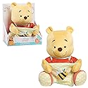 Disney Baby Hide-and-Seek Winnie The Pooh Interactive Plush, Kids Toys for Ages 09 Month by Just Play