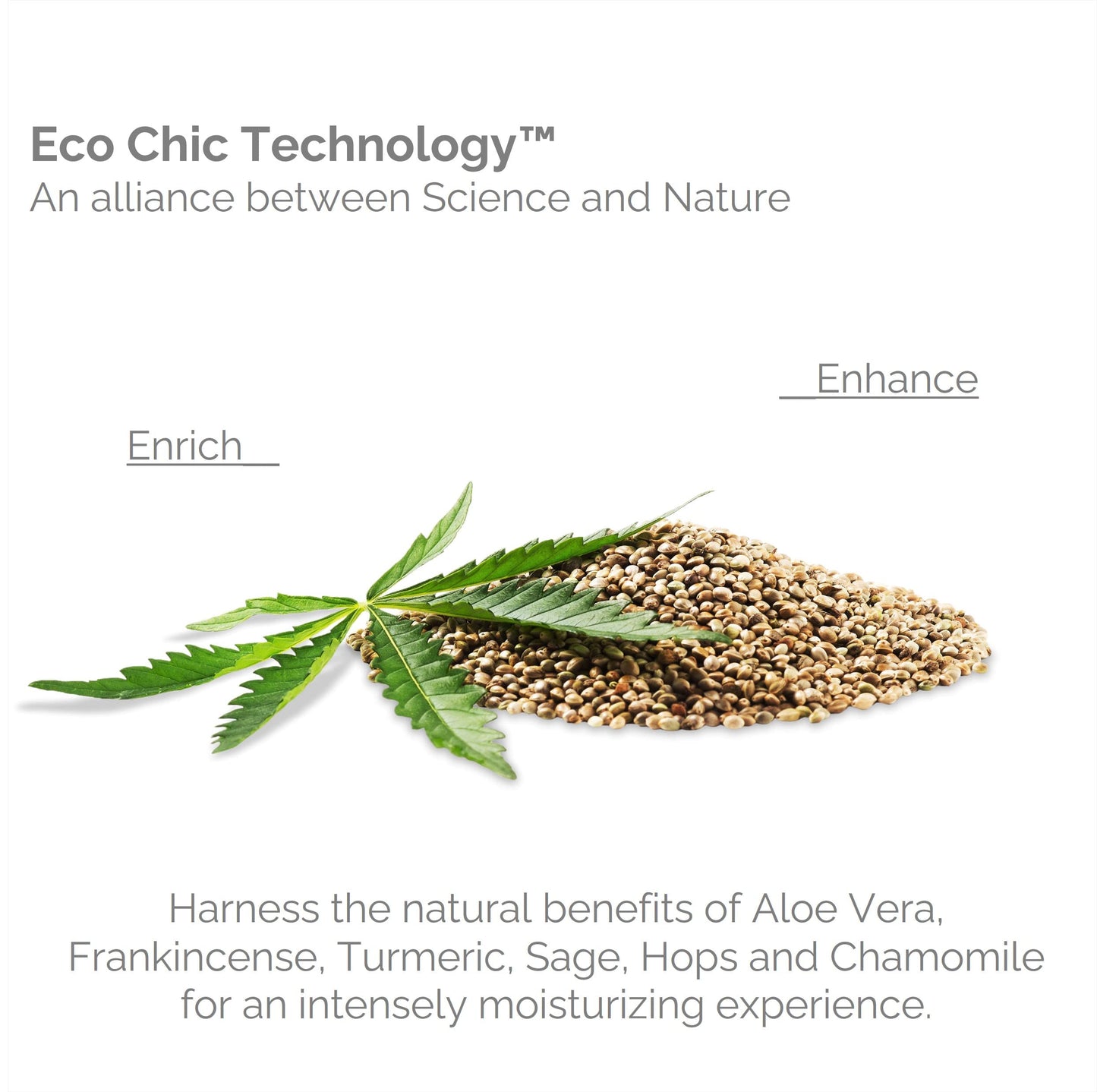 GIOVANNI Hemp Hydrating Hair Shine Spray - Contains Hemp Seed Oil, Aloe Vera, Frankincense, Helps Stimulate, Moisturize & Revitalize Damaged Hair, No
