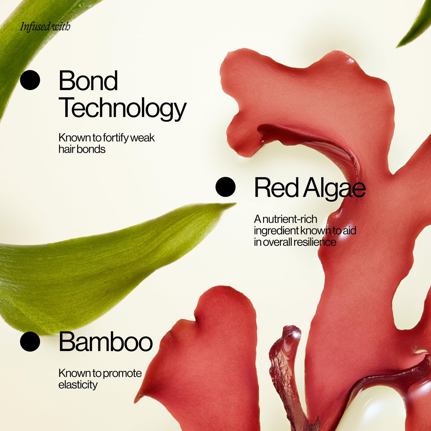 Eva NYC Repair Leave-In Hair Treatment - For Dry, Damaged + Brittle Hair - Reduce Breakage with Bond Technology, Red Algae + Bamboo - 450°F High Heat