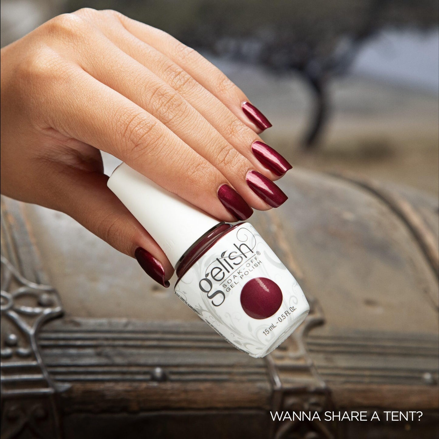 Gelish TPO-Free Soak-Off Gel Nail Polish: Wanna Share A Lift?, 15mL Beauty & Personal Care Gelish