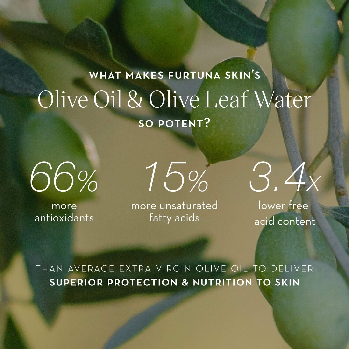 Furtuna Skin Biphase Moisturizing Oil - Hydrating, Plumping & Protecting Face, Neck, and Decollete Oil, Vegan & Cruelty-Free, Organic Olive