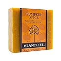 Plantlife Pumpkin Spice Bar Soap - Moisturizing and Soothing Soap for Your Skin - Hand Crafted Using Plant-Based Ingredients - Made in California 4oz