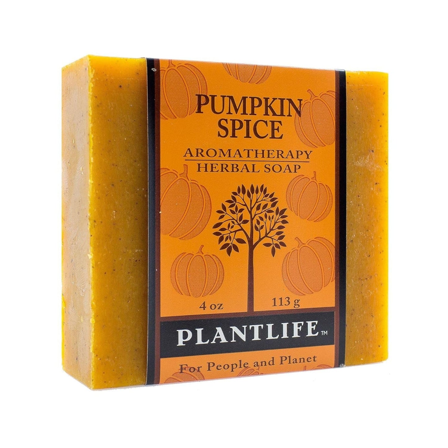 Plantlife Pumpkin Spice Bar Soap - Moisturizing and Soothing Soap for Your Skin - Hand Crafted Using Plant-Based Ingredients - Made in California 4oz