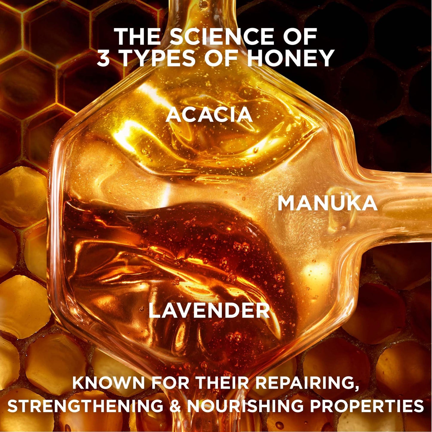 Garnier Whole Blends Repairing Shampoo Honey Treasures, For Damaged Hair, 22 Fl Oz (Pack of 1)