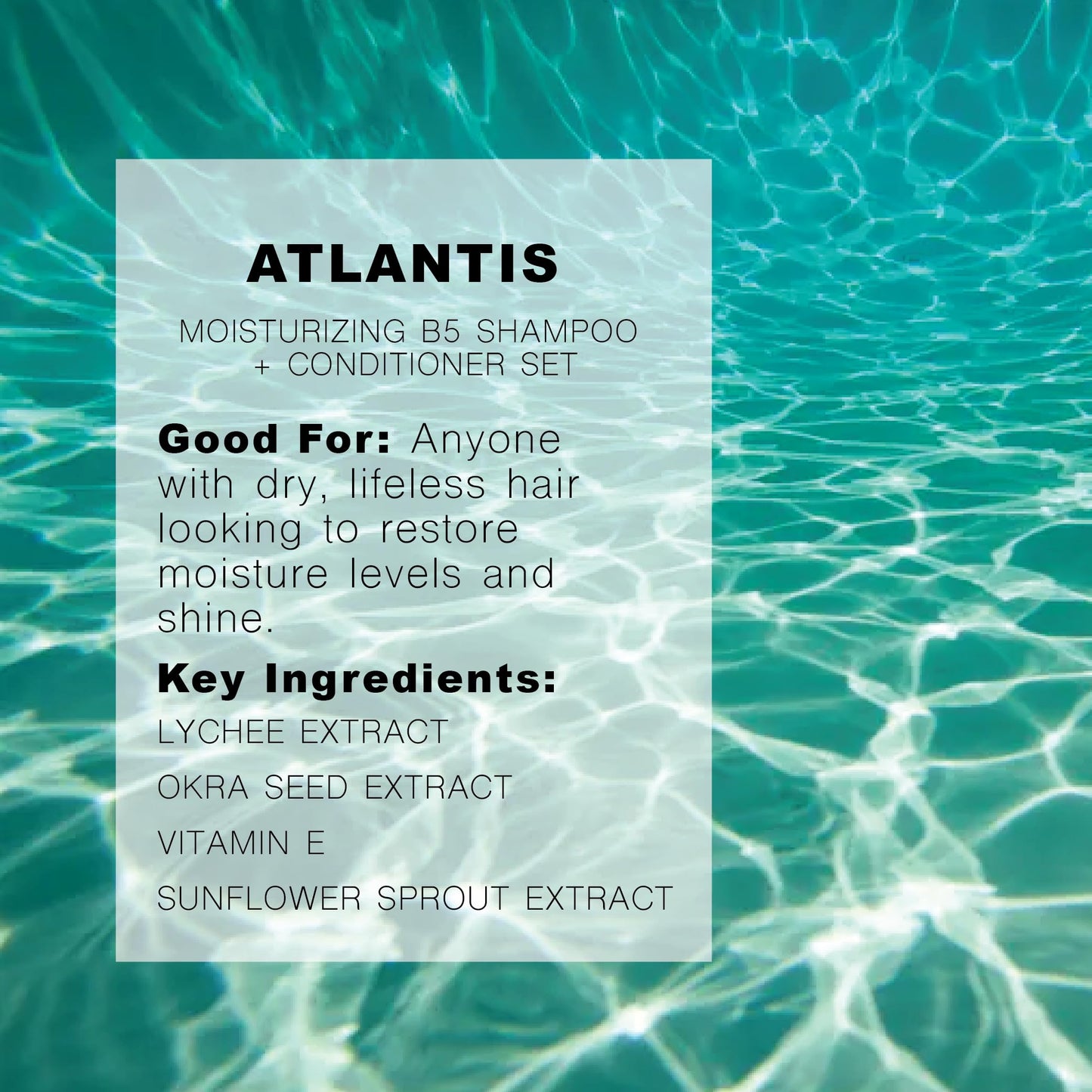 R+Co Atlantis B5 Shampoo + Conditioner Travel Set | Deep Hydration & Repair for Dry Hair | Vegan + Cruelty Free | 2oz (Pack of 2)