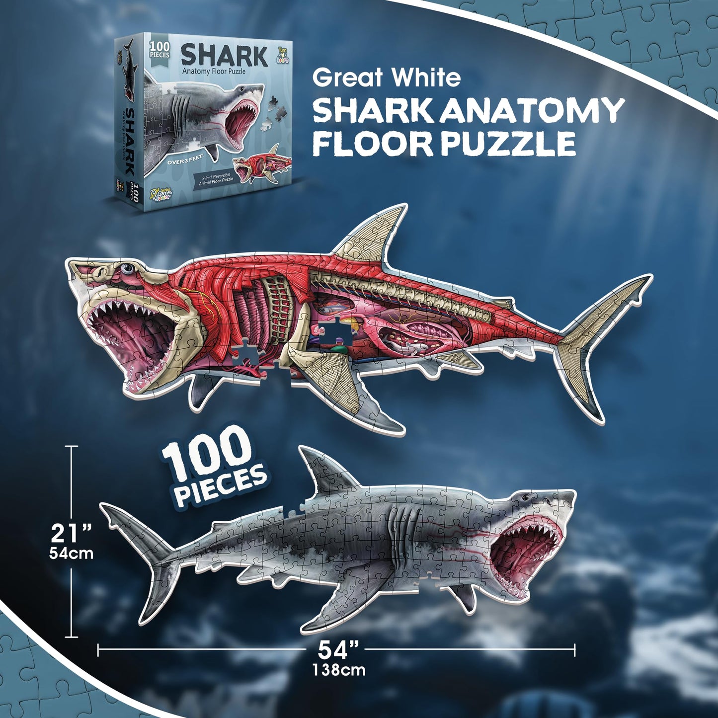 Shark Animal Anatomy Floor Puzzle – 100-Piece Double-Sided Jigsaw Puzzle for Kids Ages 4-8, Educational Large Floor Puzzle for Toddlers & Families