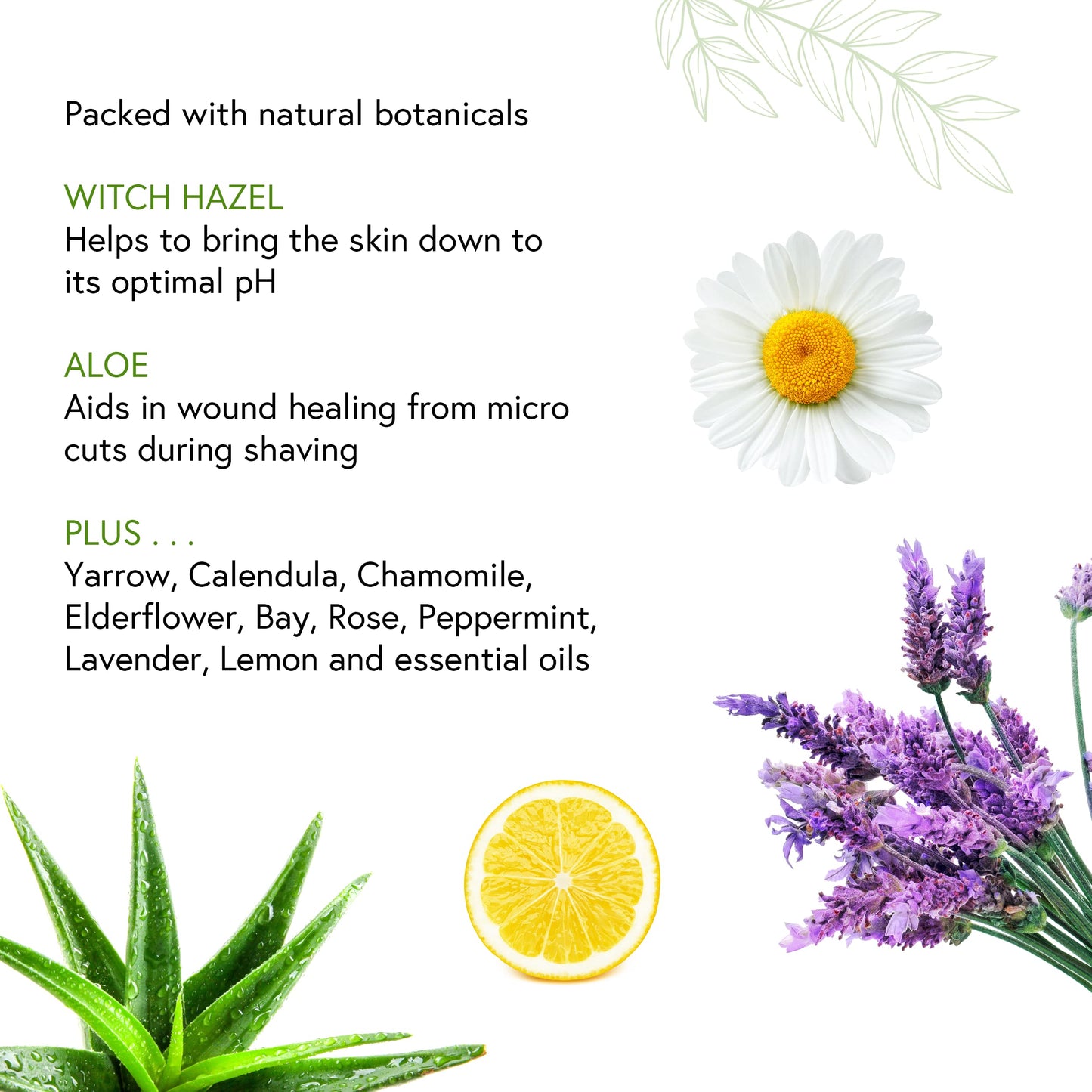 Honeybee Gardens Soothe & Refresh Herbal Aftershave with Aloe & Witch Hazel for Men - Unfragranced - The perfect blend for an all natural clean shave
