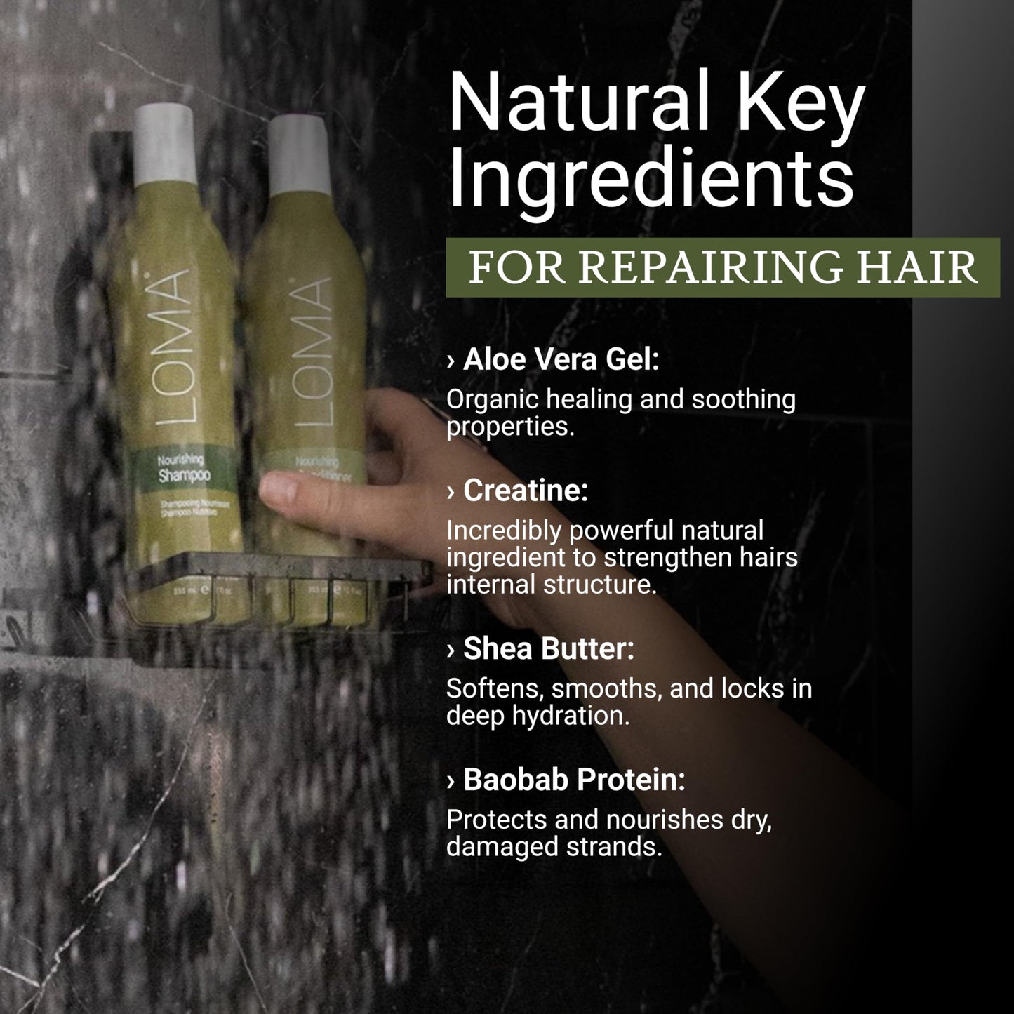 LOMA Nourishing Shampoo and Nourishing Conditioner (DUO PACK) 12 Ounce