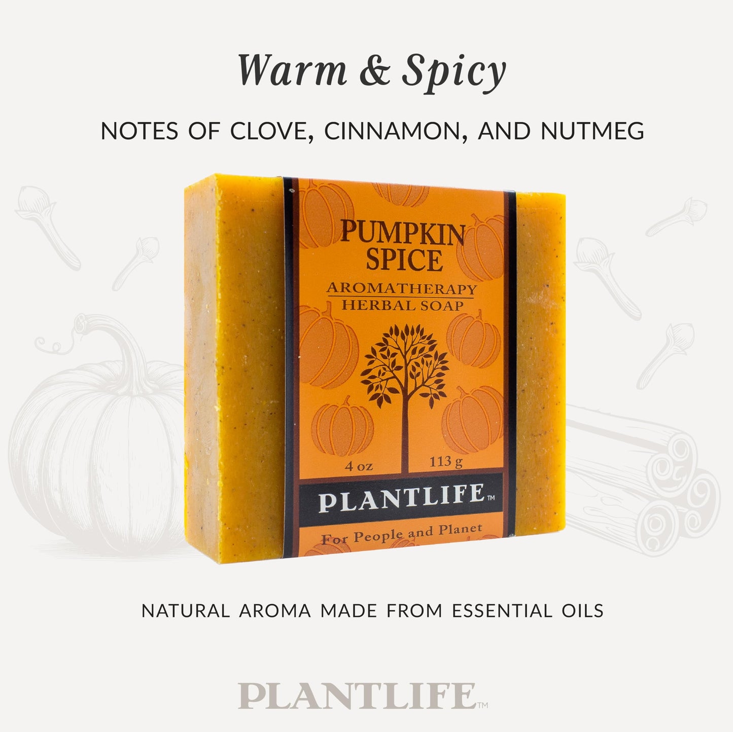 Plantlife Pumpkin Spice Bar Soap - Moisturizing and Soothing Soap for Your Skin - Hand Crafted Using Plant-Based Ingredients - Made in California 4oz