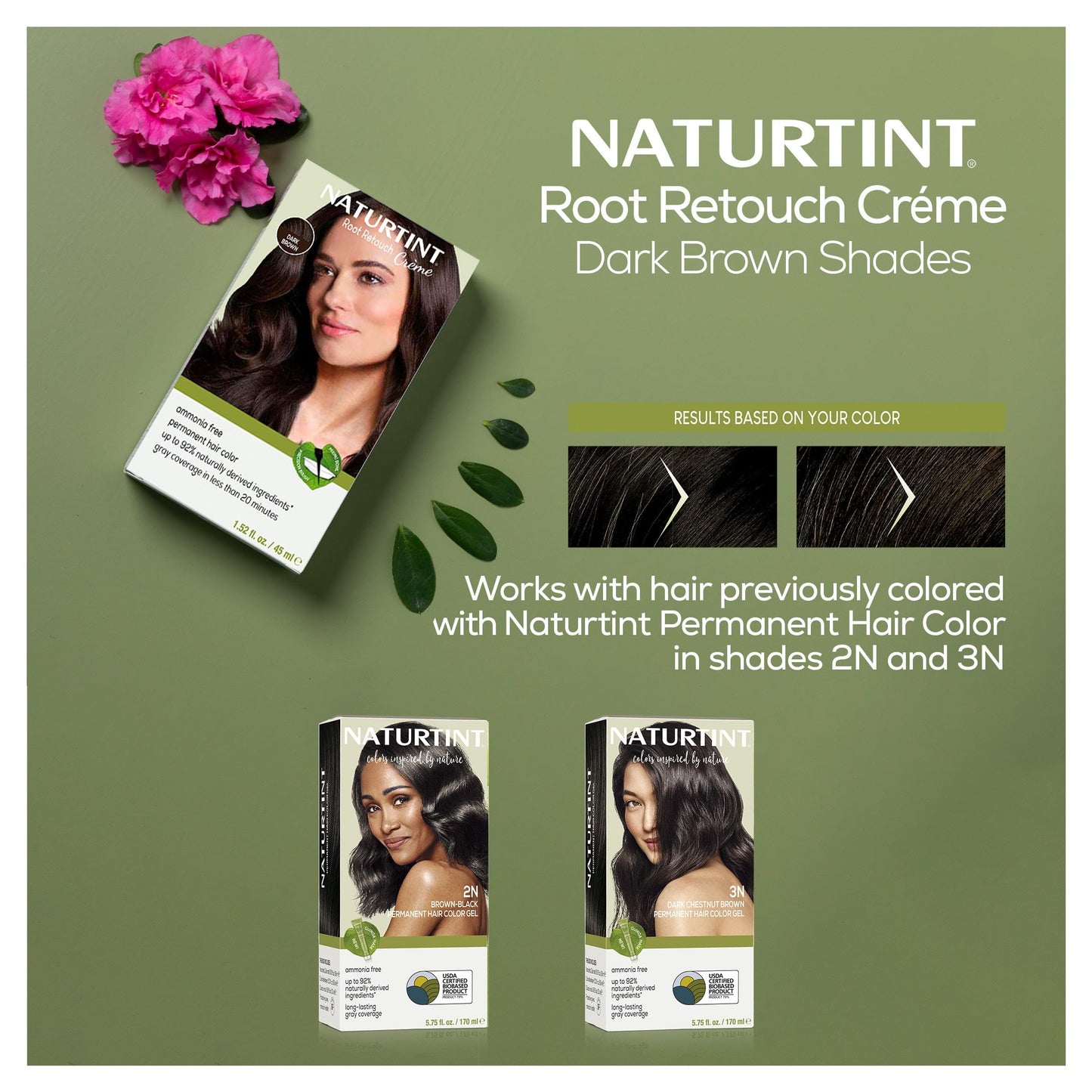 Naturtint Dark Brown Root Retouch Crème Permanent Hair Color - Ammonia Free, Conceal Grays, No Artificial Scent, 1.52 Fl Oz