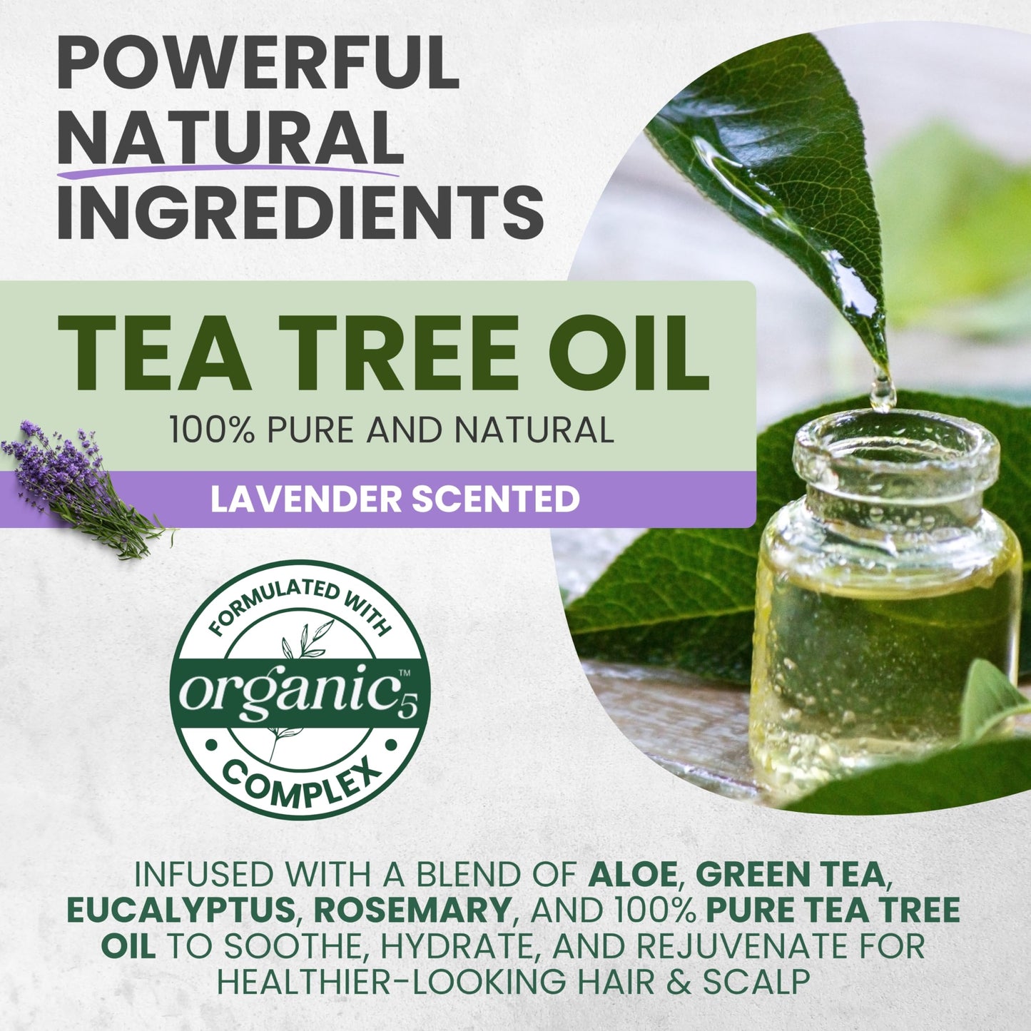 KESMEDIK Tea Tree Lavender Shampoo & Conditioner Set with Mint & Rosemary, Cleanses, Cools & Soothes Dry, Itchy Scalp, Sulfate & Paraben-Free, For All