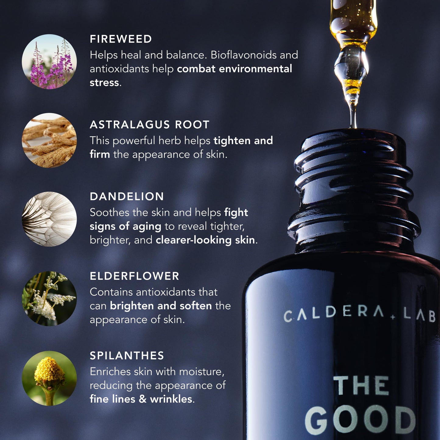 Caldera + Lab The Good | Men's Organic Moisturizing Face Serum for Dry, Sensitive, & Normal Skin - Vegan, Natural & Antioxidant Packed Skincare