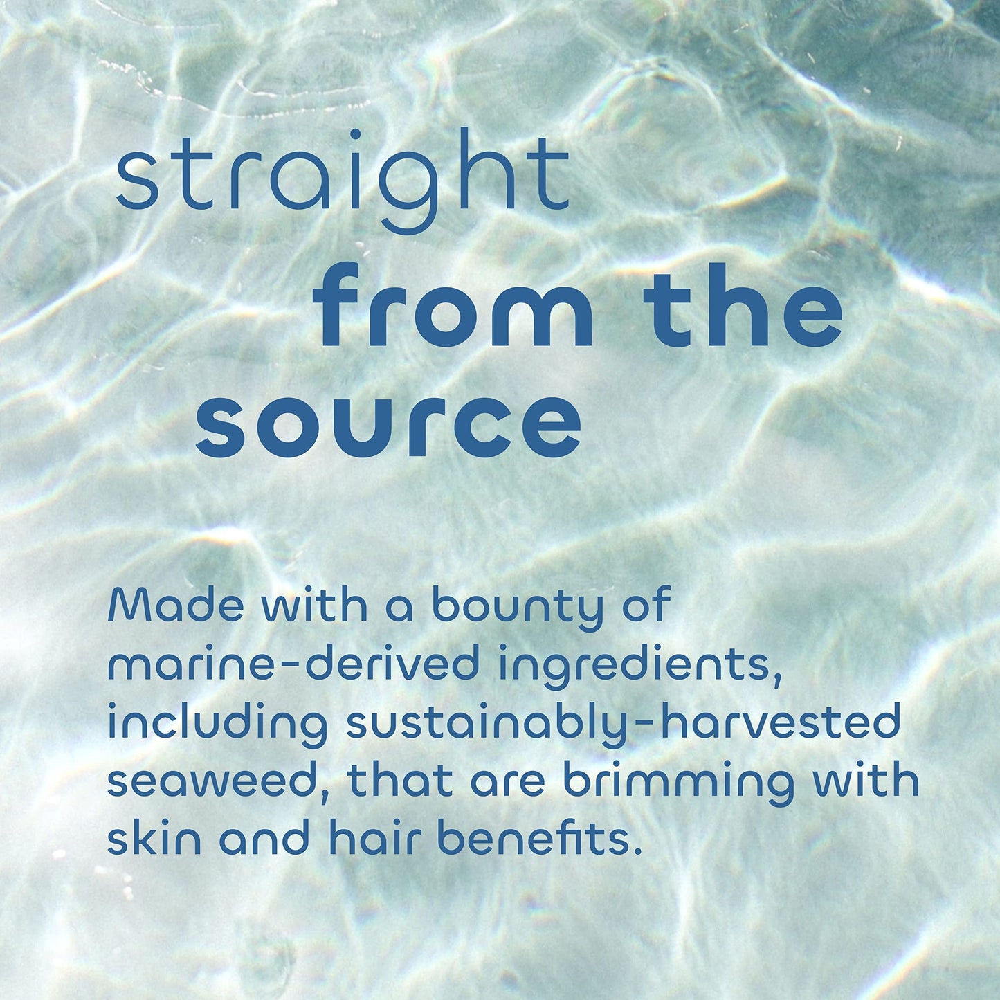 Seaweed Bath Co. Smooth Shampoo and Conditioner Set - Citrus Vanilla - Hydrate With Aloe, Borage Oil, and Broccoli Seed Oil for Sleek, Shiny Hair - 12