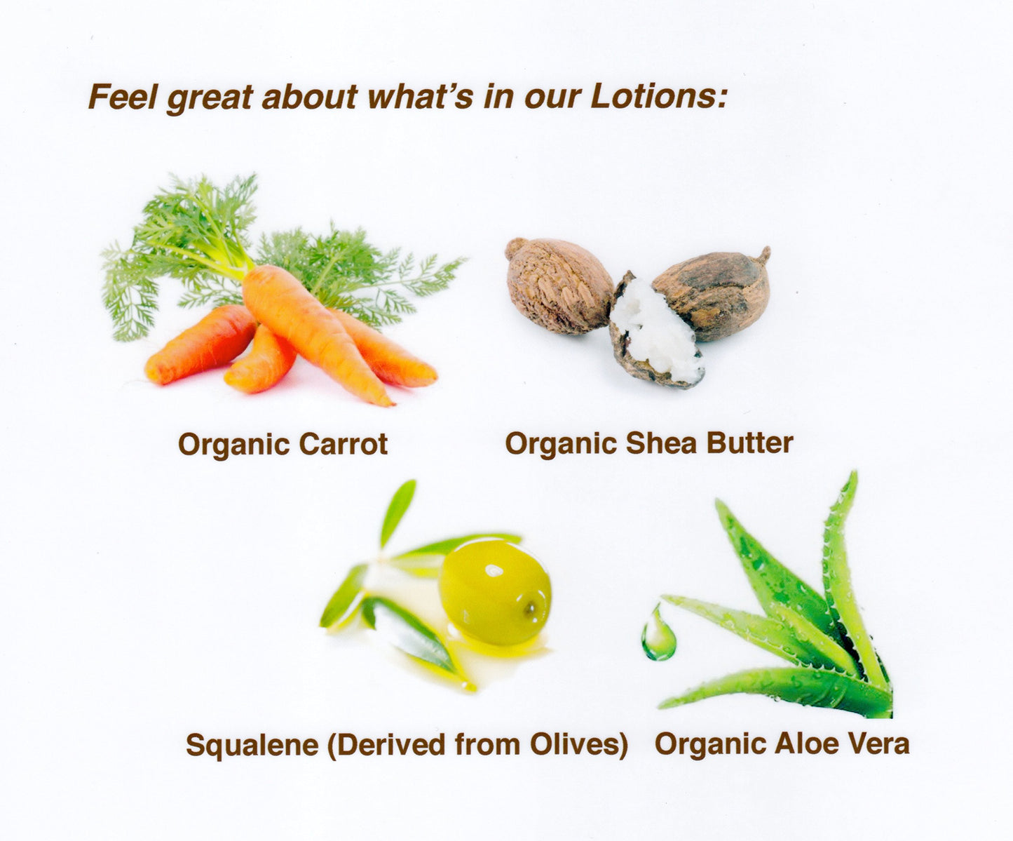 Tanning Lotion with SPF 4 Sunscreen Protection - Organic & Botanical Ingredients for a Sun-Kissed Glow - Moisturizing, Non-Greasy Sun Care Carrot