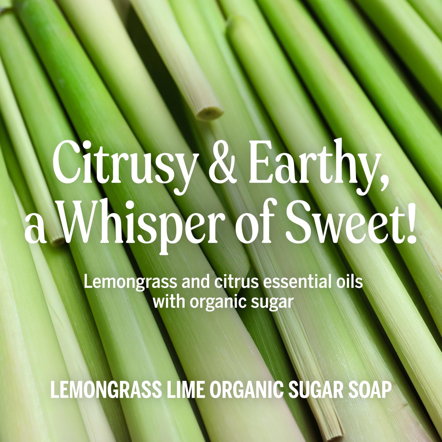 Dr. Bronner's - Organic Sugar Soap (Lemongrass, 24 Ounce) - Made with Organic Oils, Sugar and Shikakai Powder, 4-in-1 Uses: Hands, Body, Face