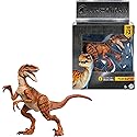 Mattel Jurassic World Hammond Collection Dinosaur Action Figure Toy, Atrociraptor Tiger, Premium Movie Design Glass Eyes & 13 Points Articulation