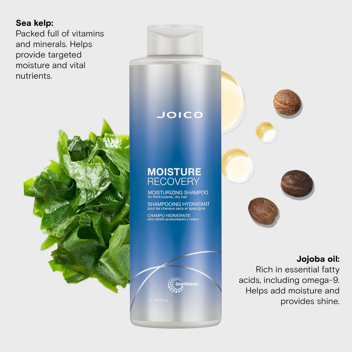 Joico Moisture Recovery Moisturizing Shampoo | For Thick, Coarse, Dry Hair | Restore Moisture, Smoothness, Strength, & Elasticity | Reduce Breakage |