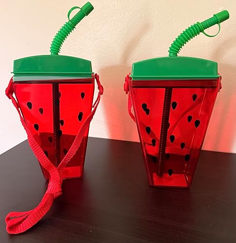 Fruit Shaped Water Bottles 2 Pack, Watermelon and Lemon Canteens with Strap and Straw, Plastic Tumblers for Travel Summer Party Picnic Camping