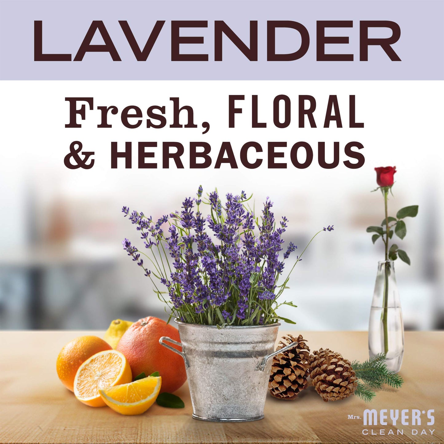 MRS. MEYER'S CLEAN DAY Body Lotion, Long-Lasting, Non-Greasy Moisturizer, Cruelty Free Formula, Lavender Scent, 15.5 oz