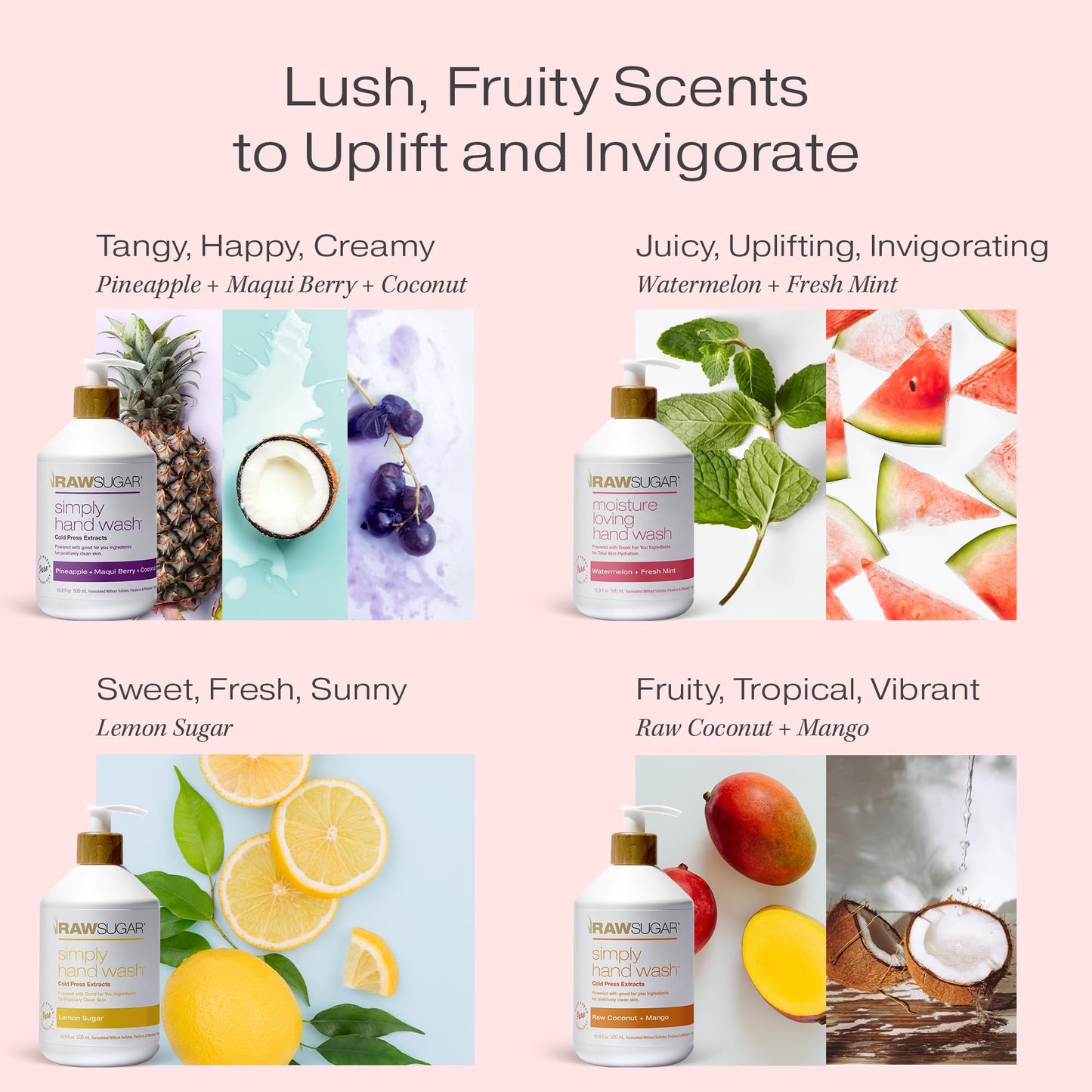 RAW SUGAR Hand Wash Variety Bundle - Lemon Sugar, Watermelon + Fresh Mint, Pineapple + Maqui Berry + Coconut & Raw Coconut + Mango, Formulated without