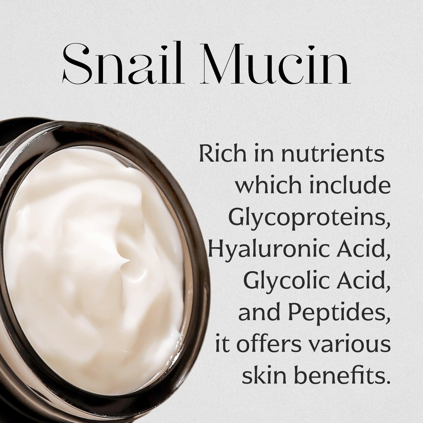 MIZON Black Snail All in One Cream Intensive Korean Skin Care Facial Moisturizer with Snail Mucin Extract (2.54 fl oz)