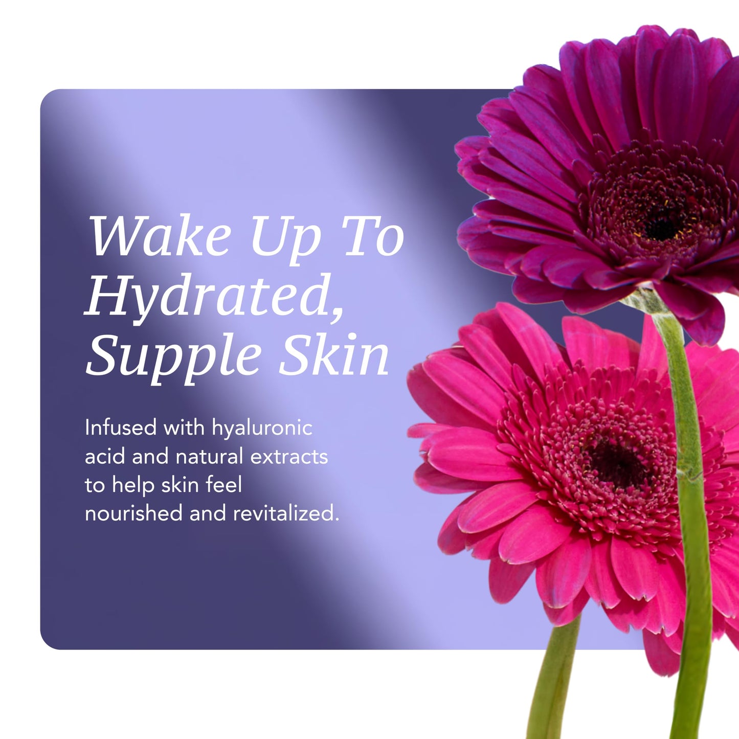 Retinol Serum for Face - Vitamin A Concentrate to Support Radiant, Even-Looking Skin - Plant-Based Facial Formula - Ageless Night Serum (1 oz)