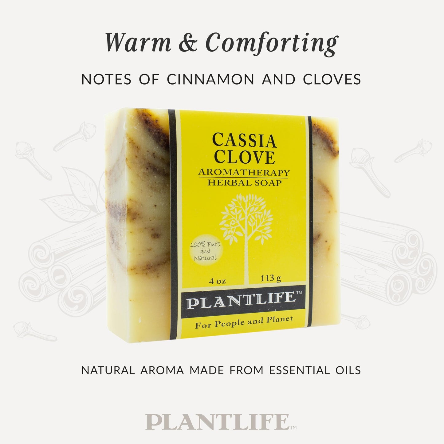 Plantlife Cassia Clove 6-pack Bar Soap - Moisturizing and Soothing Soap for Your Skin - Hand Crafted Using Plant-Based Ingredients - Made