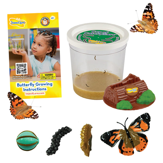 Insect Lore Cup of Caterpillars – 5 Live Painted Lady Caterpillars with Food, Figurines & Refill Kit for Butterfly Garden, Fun STEM Activity for Kids