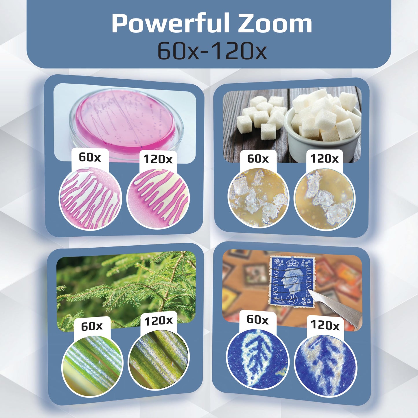 Carson MicroBrite Plus 60x-120x LED Pocket Microscope – Mini Handheld STEM Toy for Students & Science Labs (MM-300)