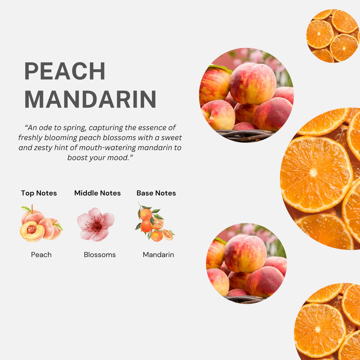 Cucina Fruits & Passion Peach and Mandarin Hand Soap 33.8 fl oz Refill, Made in Canada - 2 Pack Beauty & Personal Care Cucina